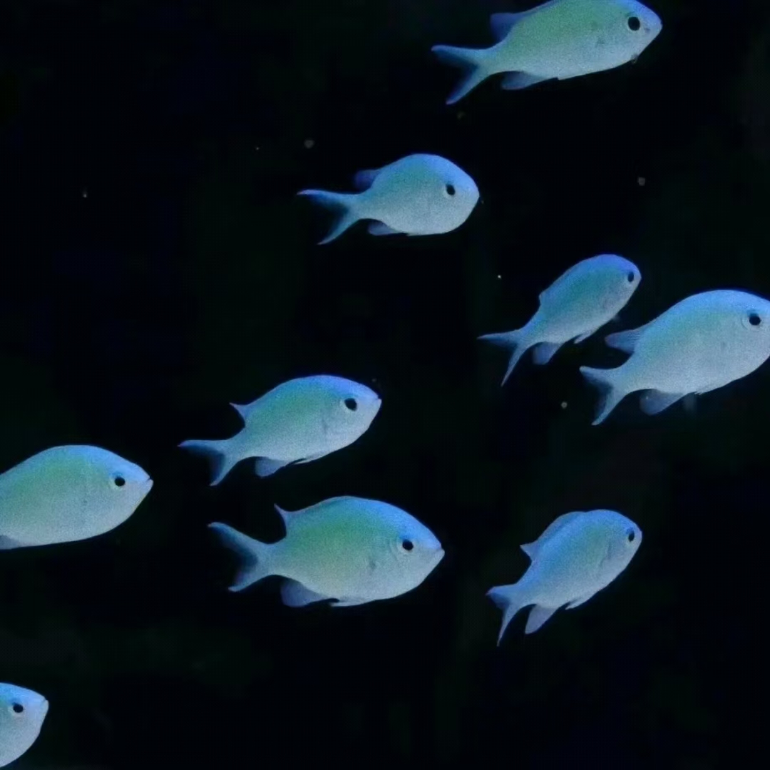 数据质量实战：多线条协作破解数据质量整改困局